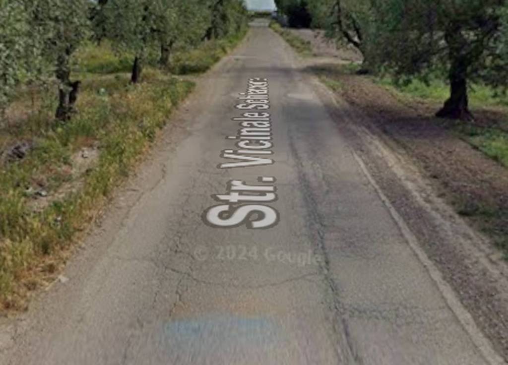 immagine annuncio 10 di 11