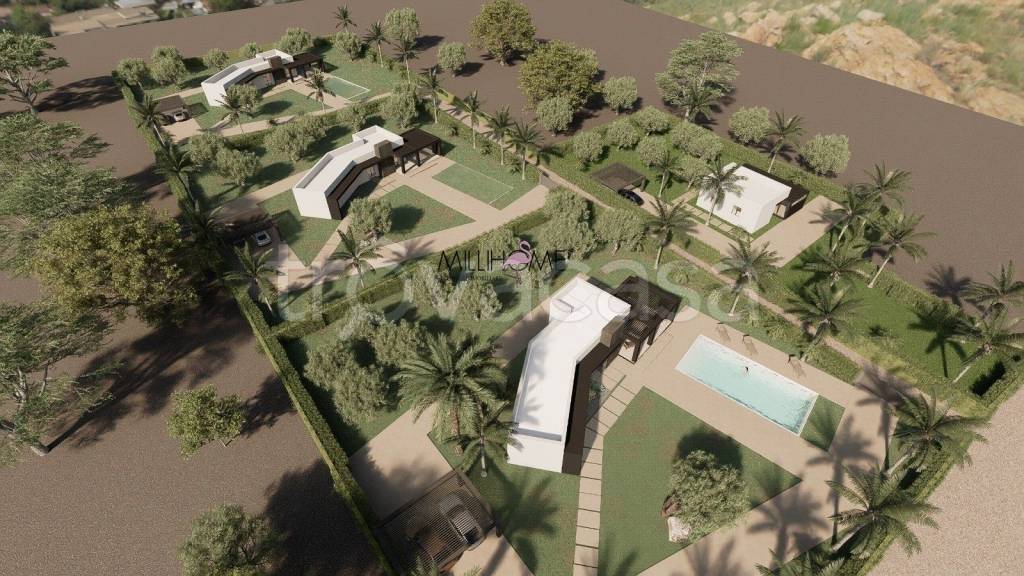 immagine annuncio 6 di 11