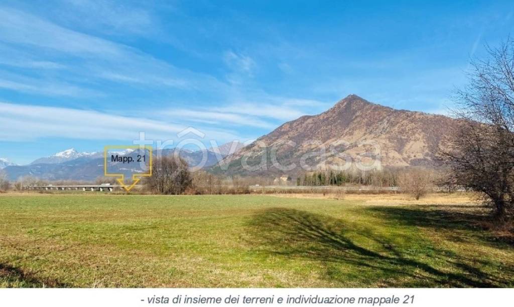 immagine annuncio 1 di 11