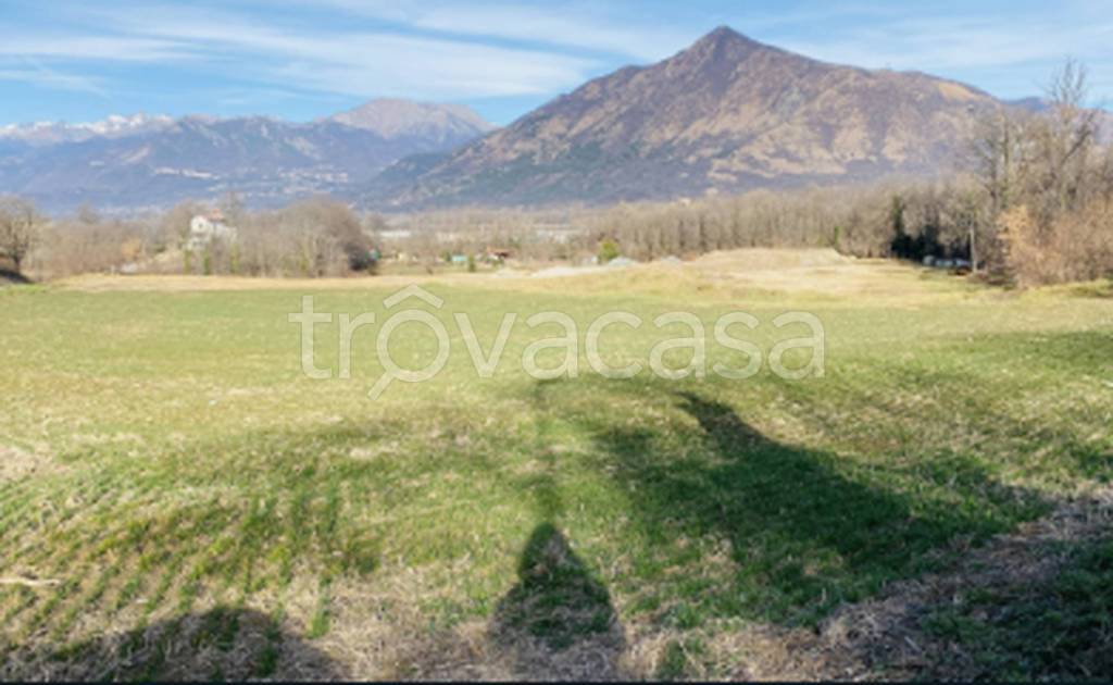 immagine annuncio 10 di 11