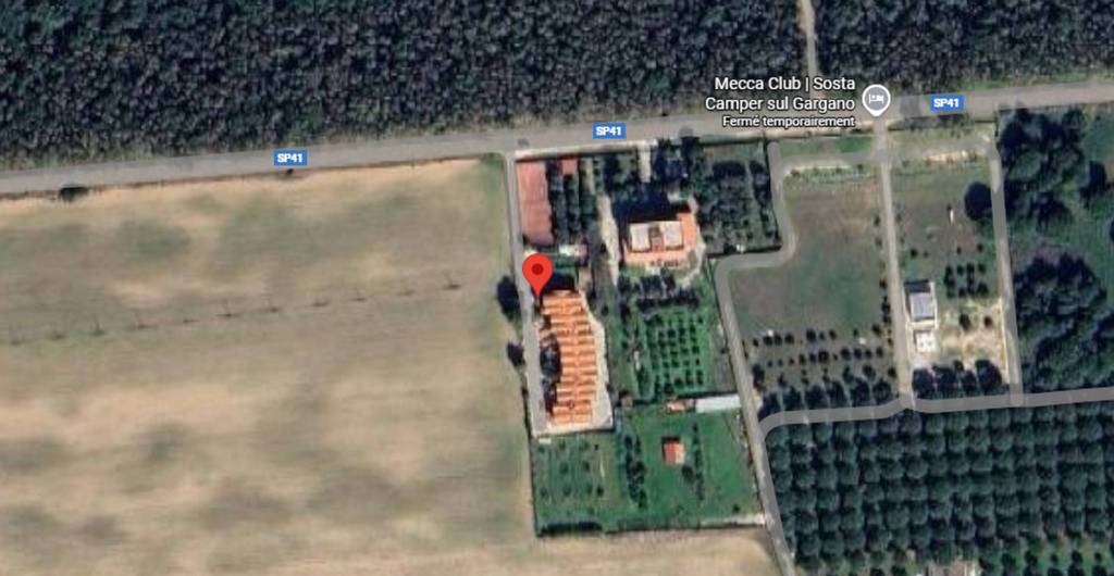 immagine annuncio 5 di 11