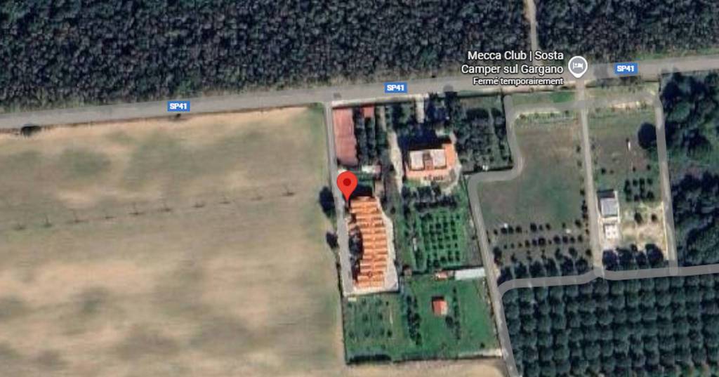 immagine annuncio 7 di 11