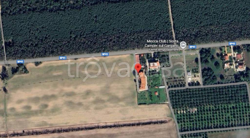 immagine annuncio 10 di 11