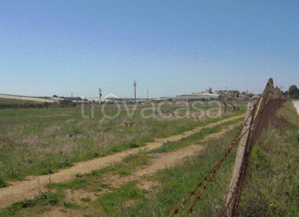 immagine annuncio 11 di 13