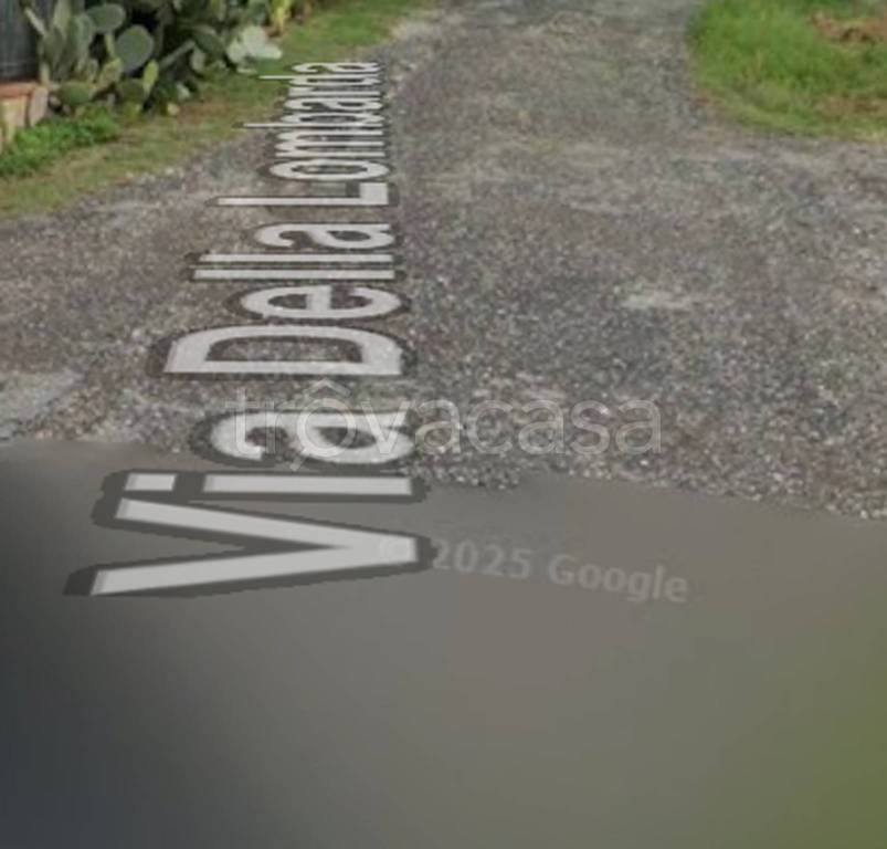 immagine annuncio 10 di 11