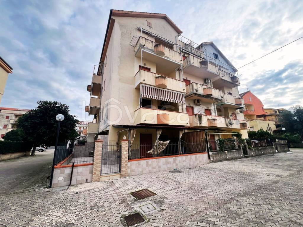 immagine annuncio 9 di 12