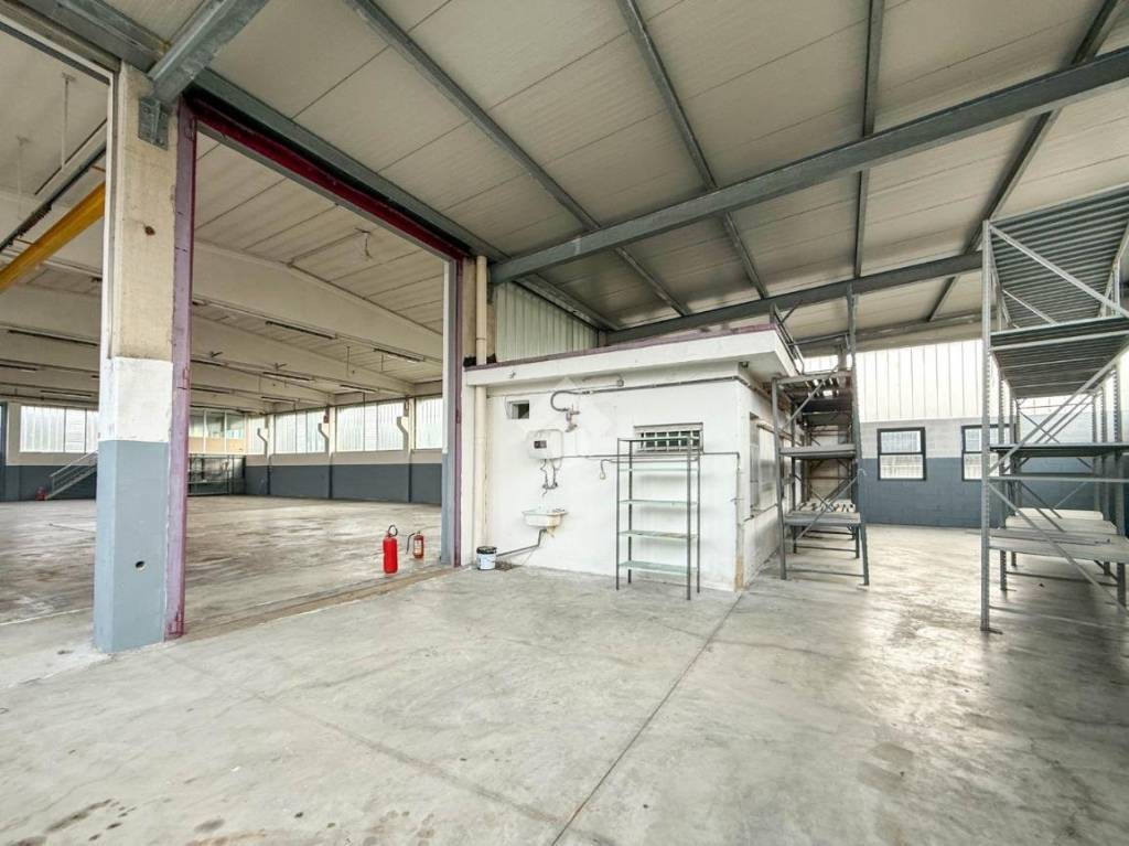 immagine annuncio 2 di 15