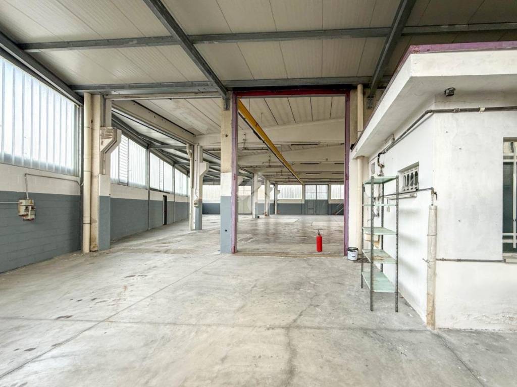 immagine annuncio 8 di 15