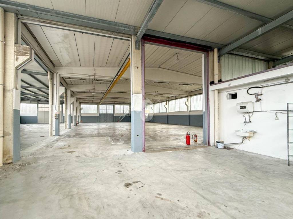 immagine annuncio 9 di 15