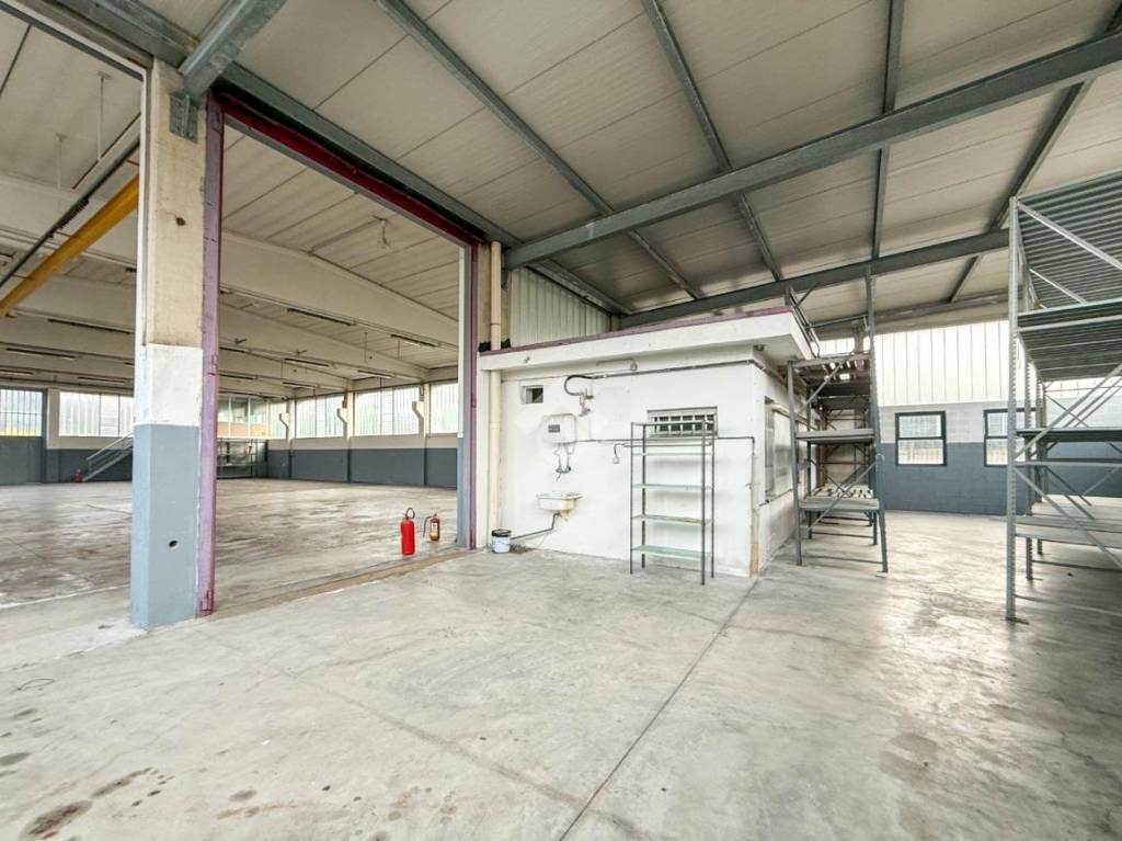 immagine annuncio 13 di 15