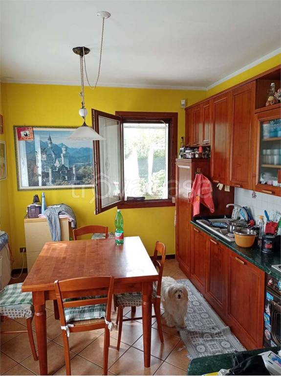 immagine annuncio 1 di 6