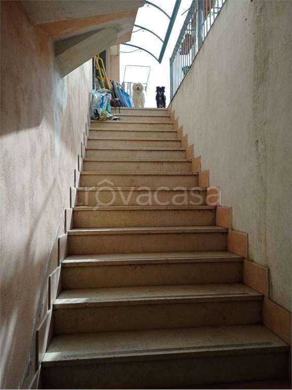 immagine annuncio 3 di 6