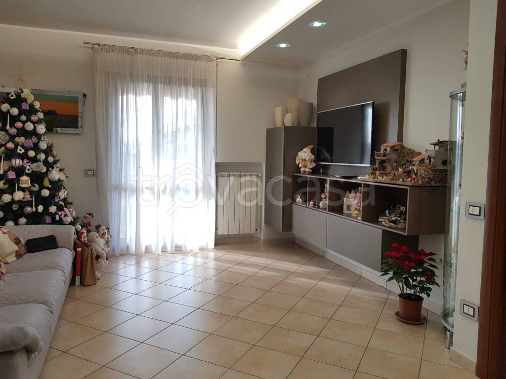 immagine annuncio 8 di 12