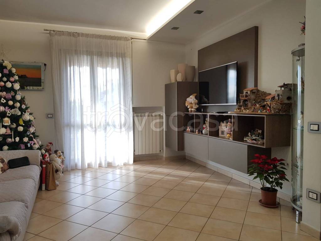 immagine annuncio 3 di 12