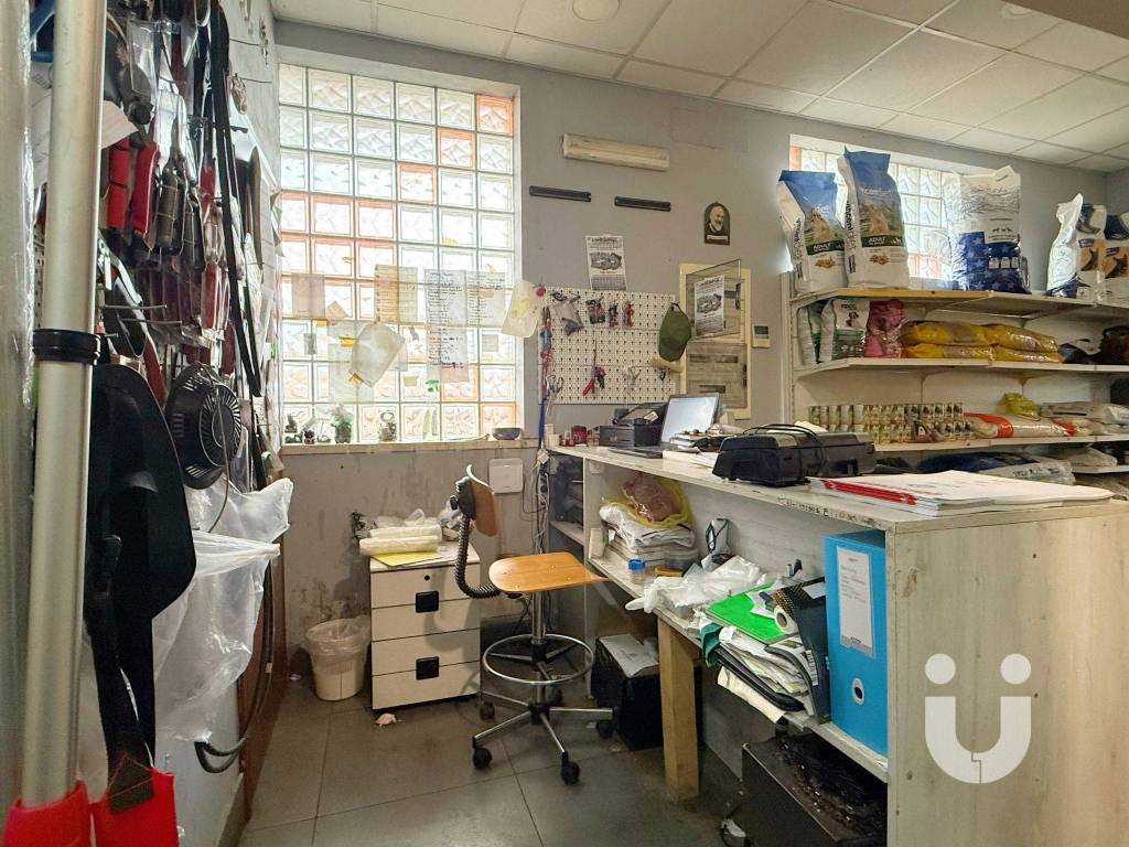 immagine annuncio 11 di 15