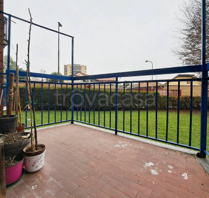 immagine annuncio 3 di 15