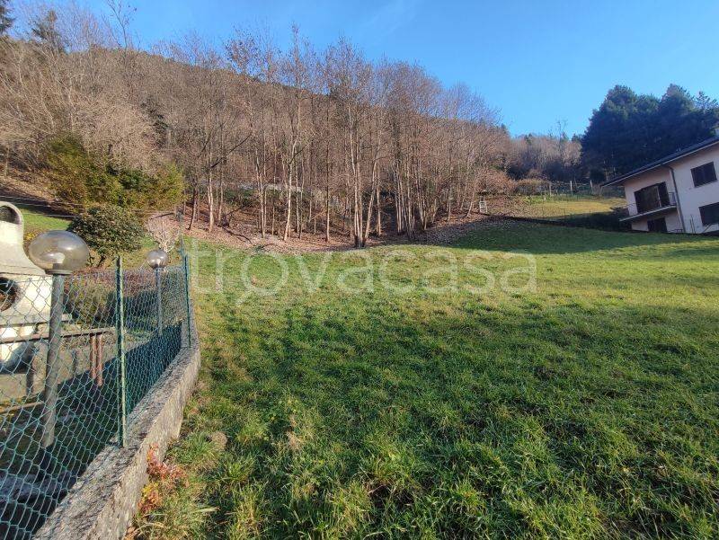 immagine annuncio 7 di 14