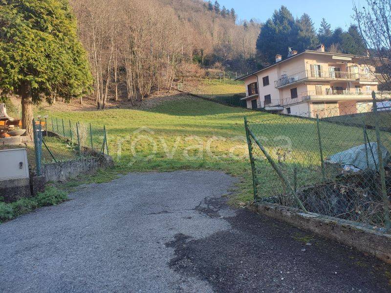 immagine annuncio 11 di 14