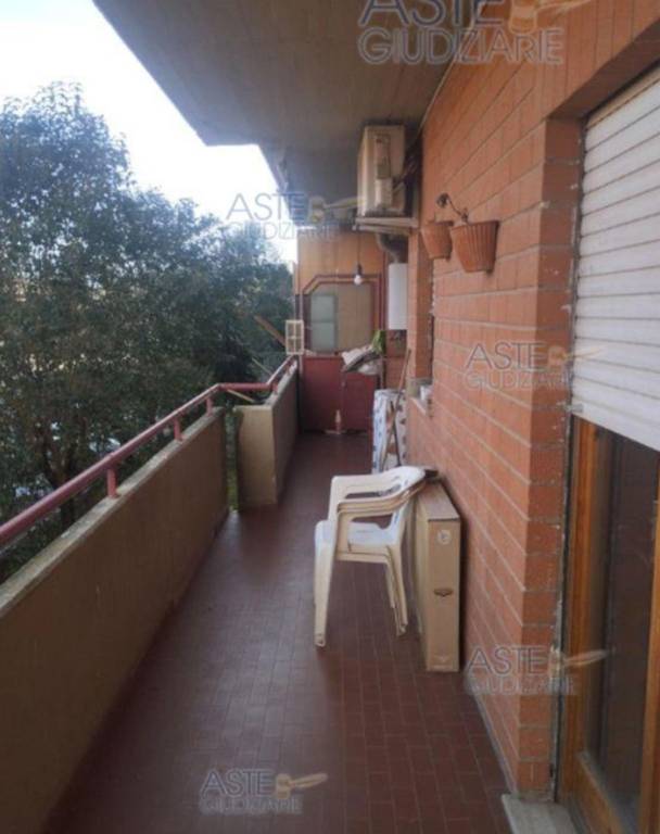 immagine annuncio 5 di 12