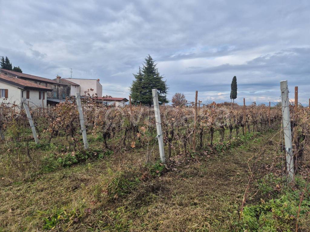 immagine annuncio 5 di 7