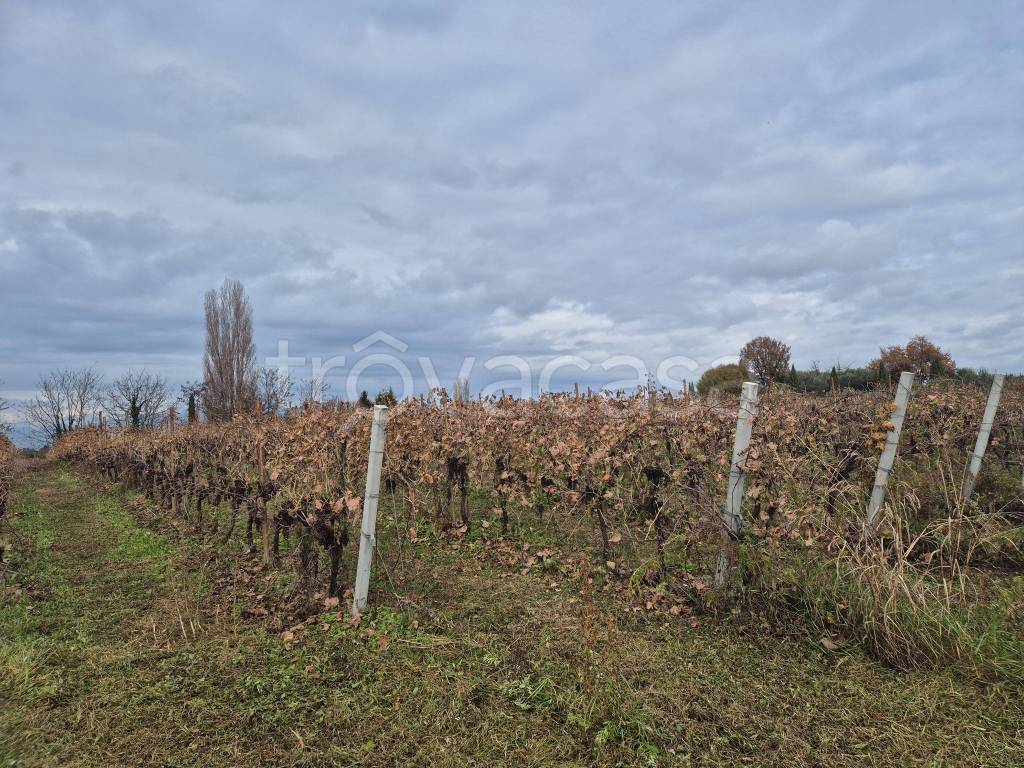 immagine annuncio 6 di 7