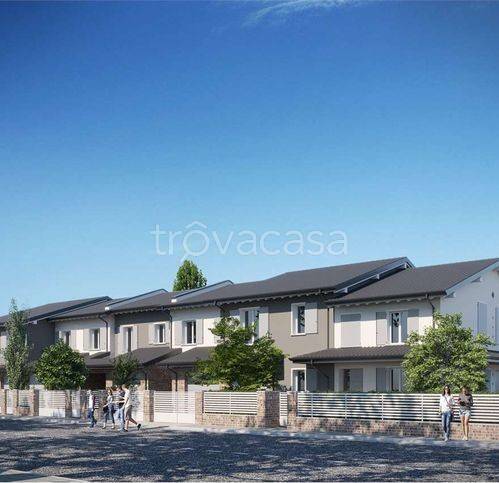 immagine annuncio 2 di 8