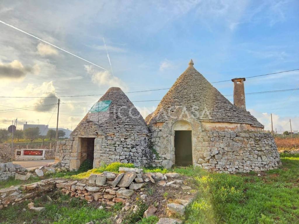 immagine annuncio 1 di 13