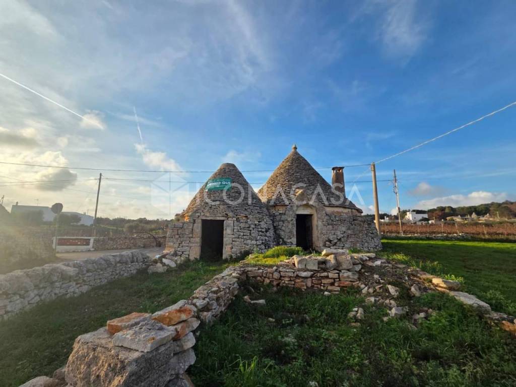 immagine annuncio 2 di 13