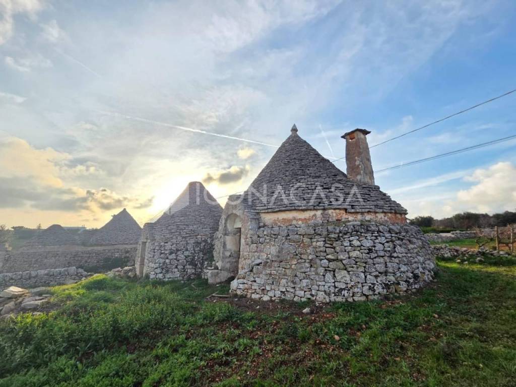 immagine annuncio 3 di 13