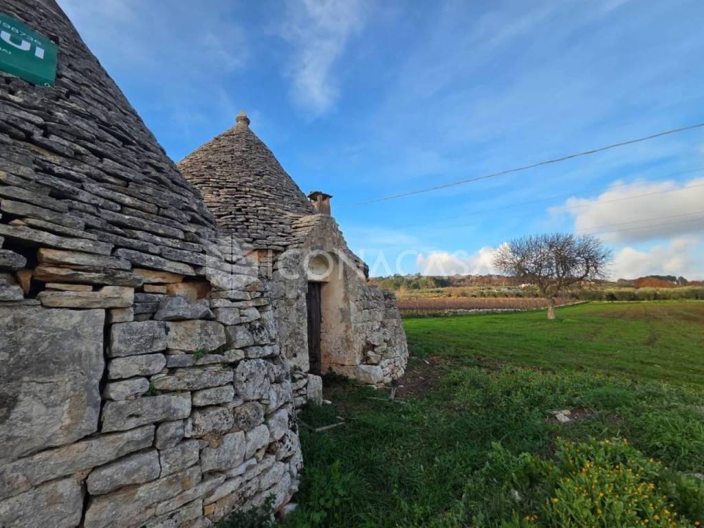 immagine annuncio 5 di 13