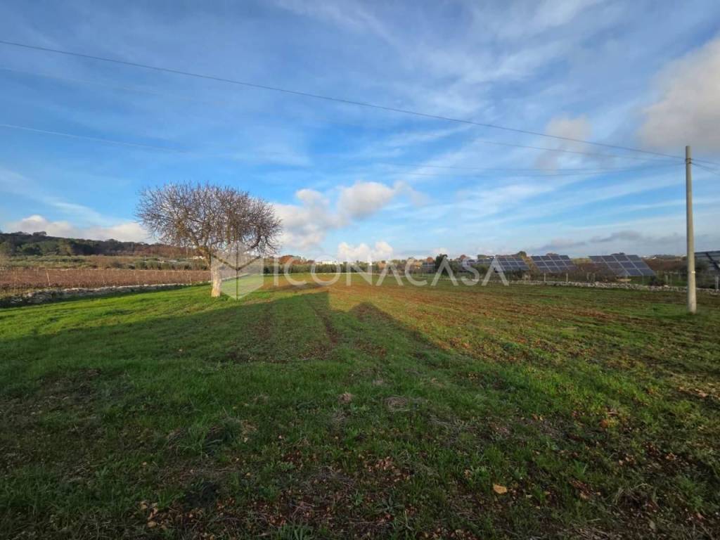 immagine annuncio 6 di 13