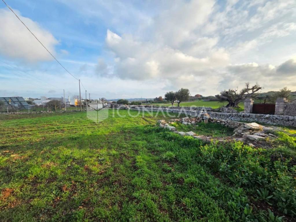 immagine annuncio 7 di 13