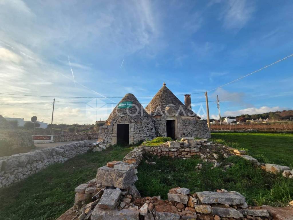 immagine annuncio 9 di 13