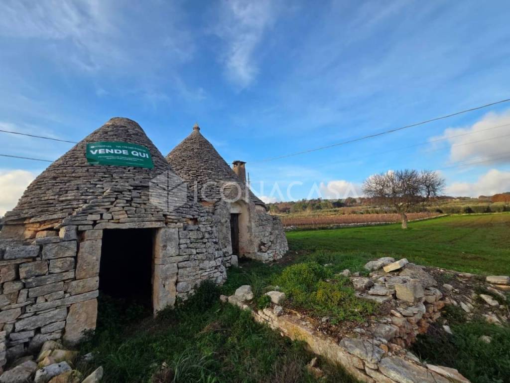 immagine annuncio 12 di 13