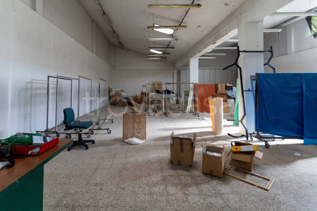 immagine annuncio 9 di 12