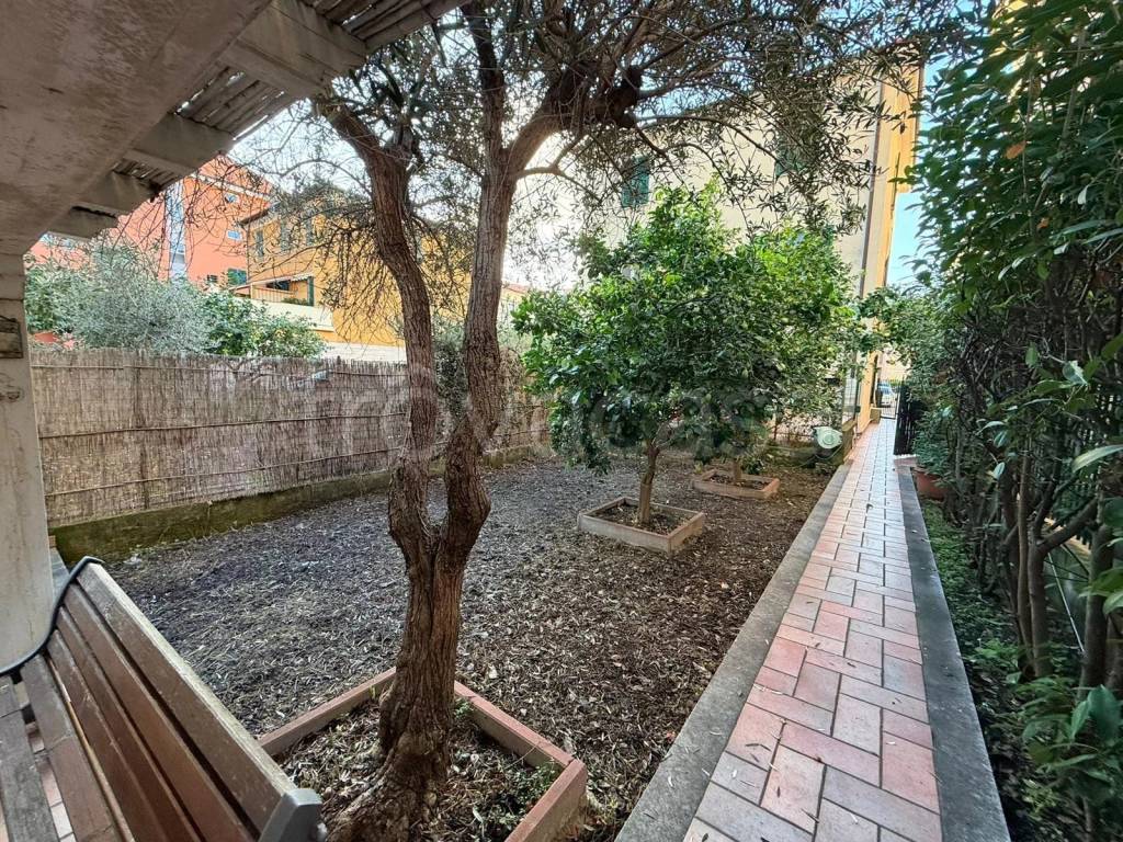 immagine annuncio 1 di 9