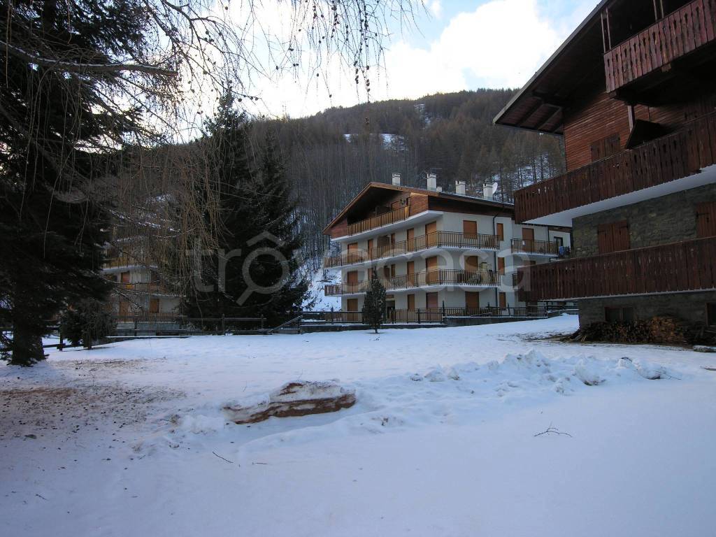 immagine annuncio 10 di 12