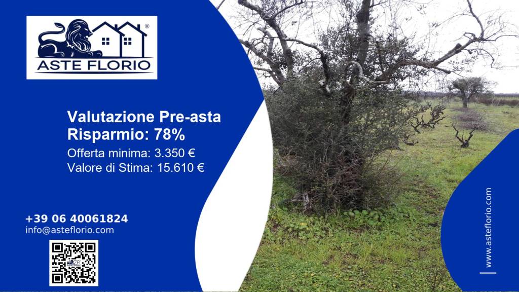 immagine annuncio 1 di 12