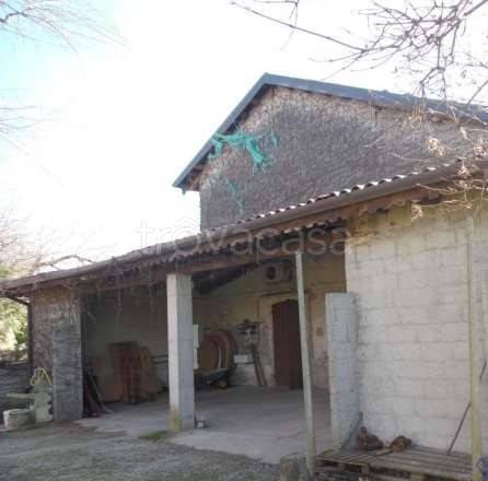 immagine annuncio 8 di 12