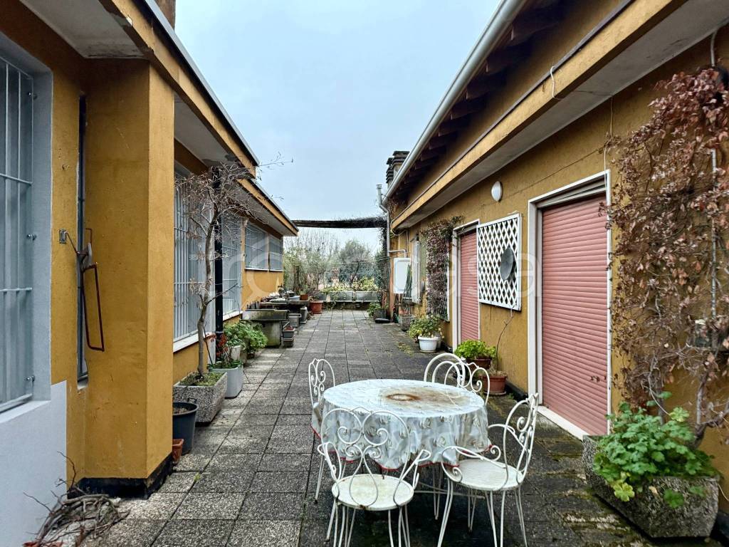 immagine annuncio 11 di 15