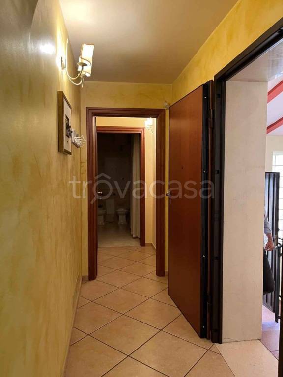 immagine annuncio 9 di 13