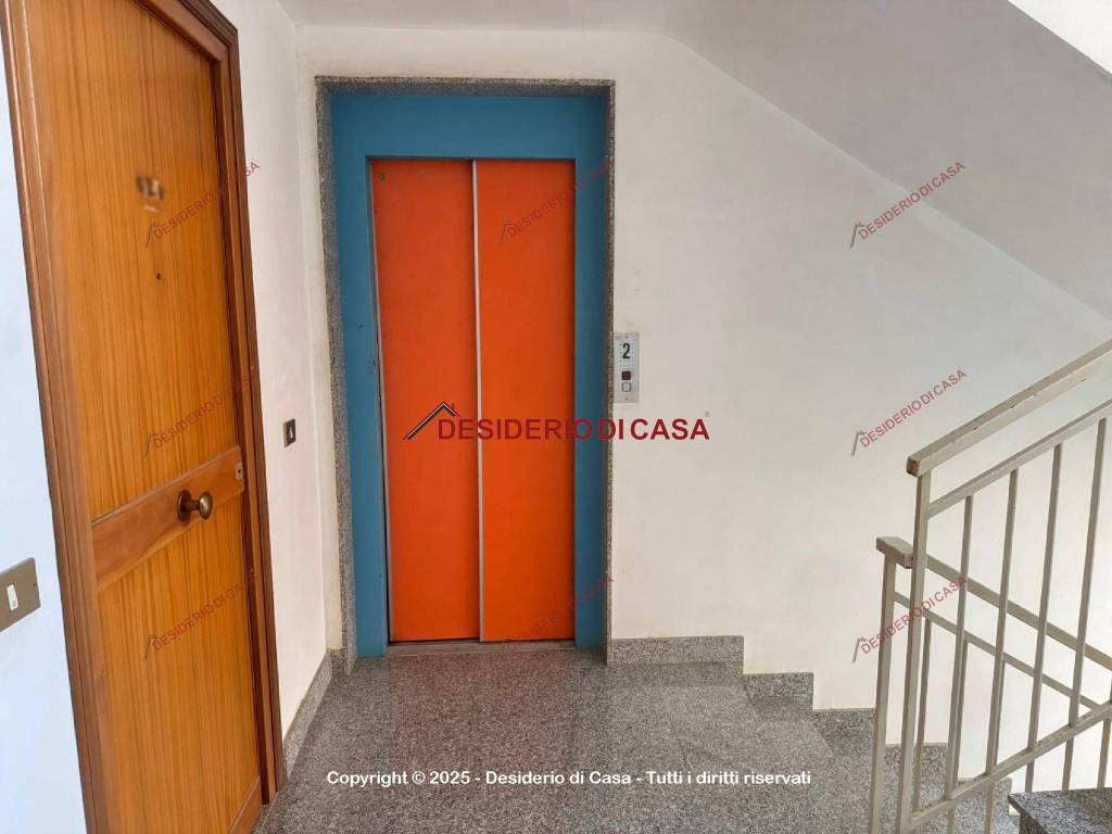 immagine annuncio 12 di 13