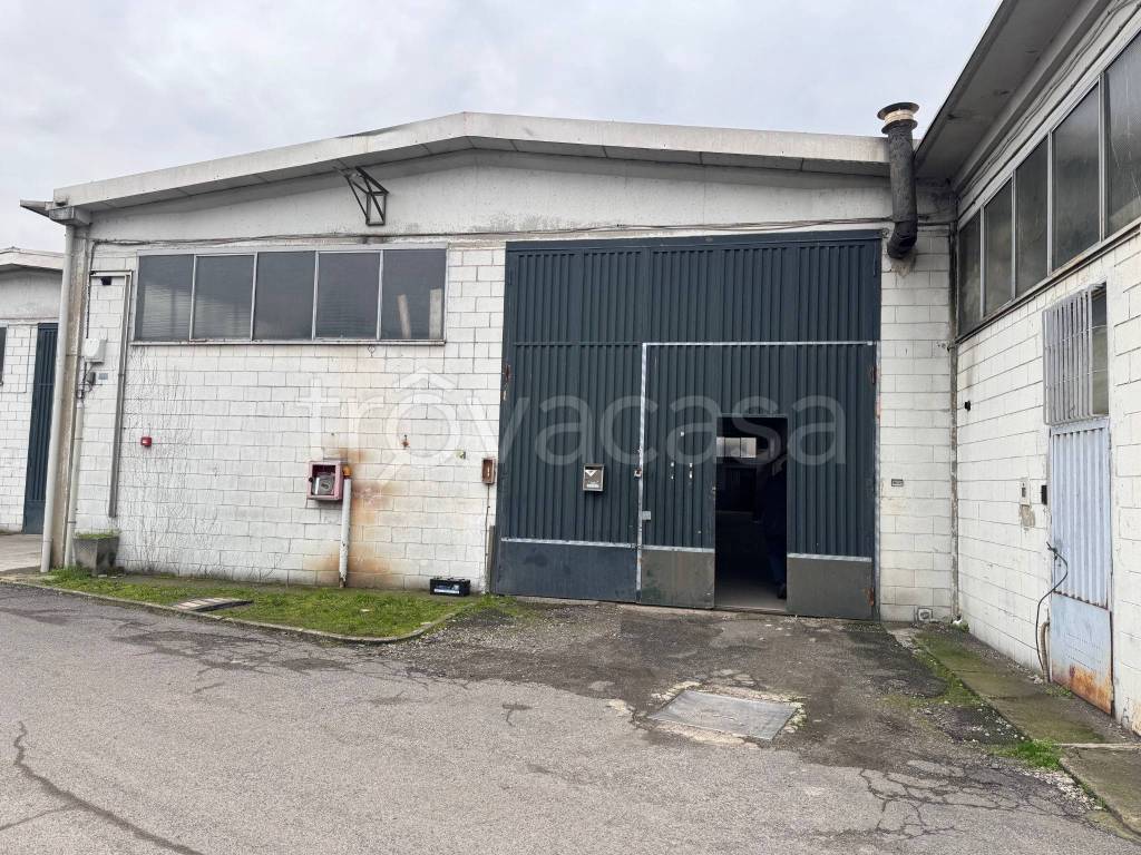 immagine annuncio 1 di 11