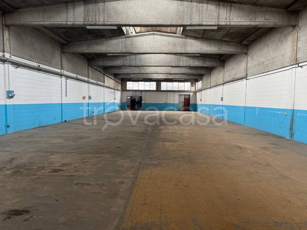 immagine annuncio 4 di 11