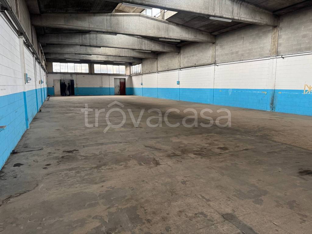 immagine annuncio 5 di 11