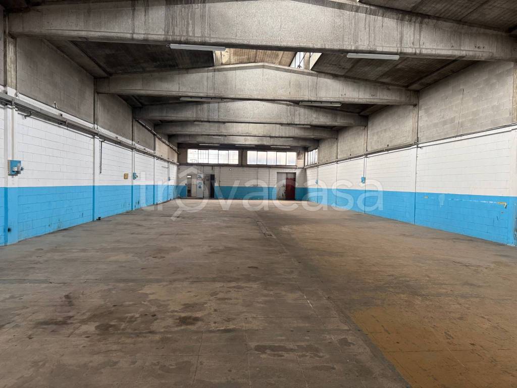 immagine annuncio 6 di 11