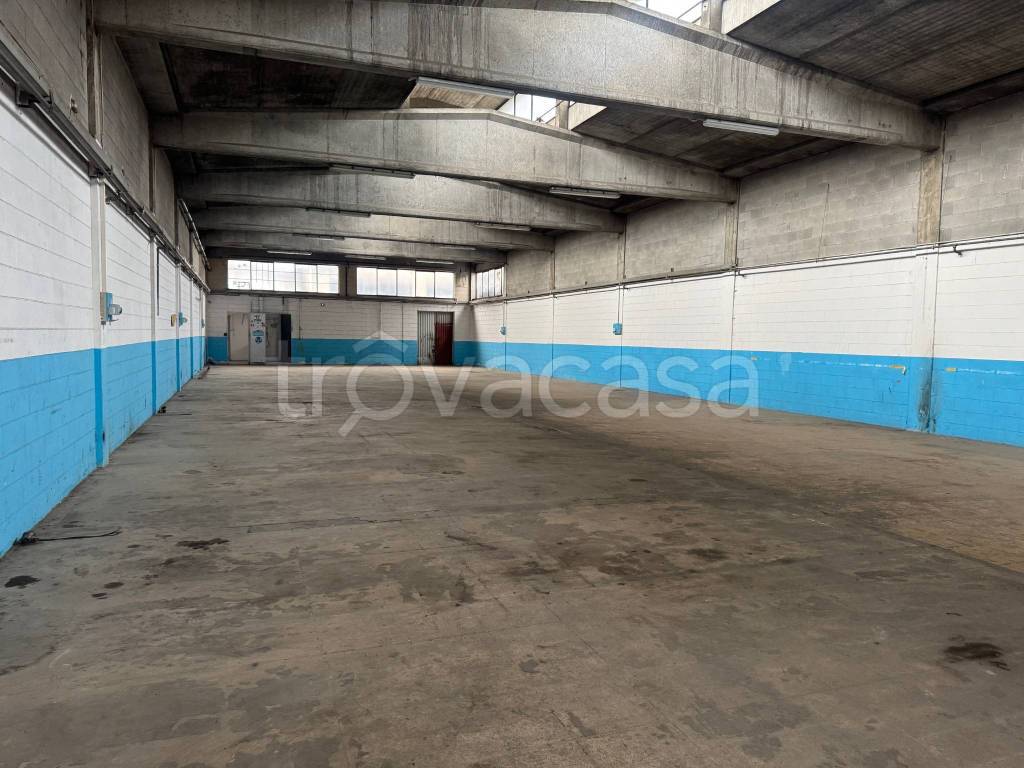 immagine annuncio 7 di 11