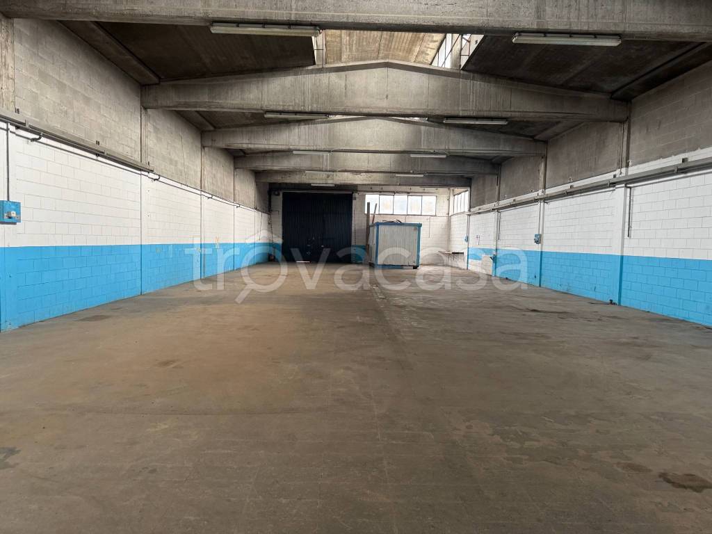 immagine annuncio 3 di 11