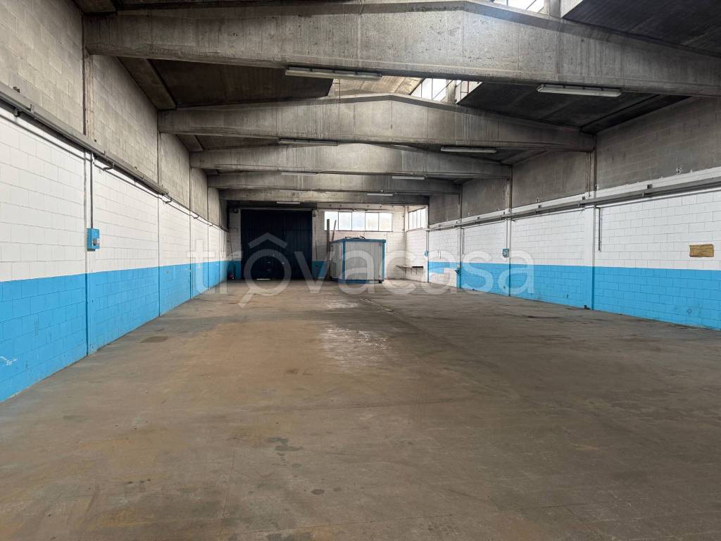 immagine annuncio 2 di 11