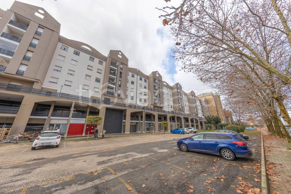 immagine annuncio 6 di 12